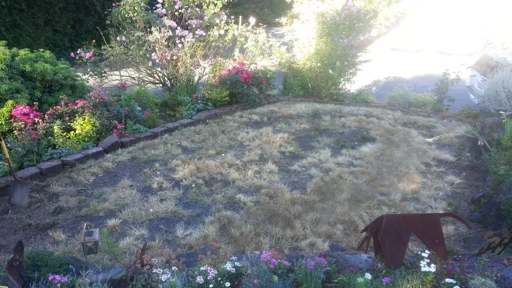 Professional outdoor landscaping in Seattle, WA by Yards R Us Since 1993