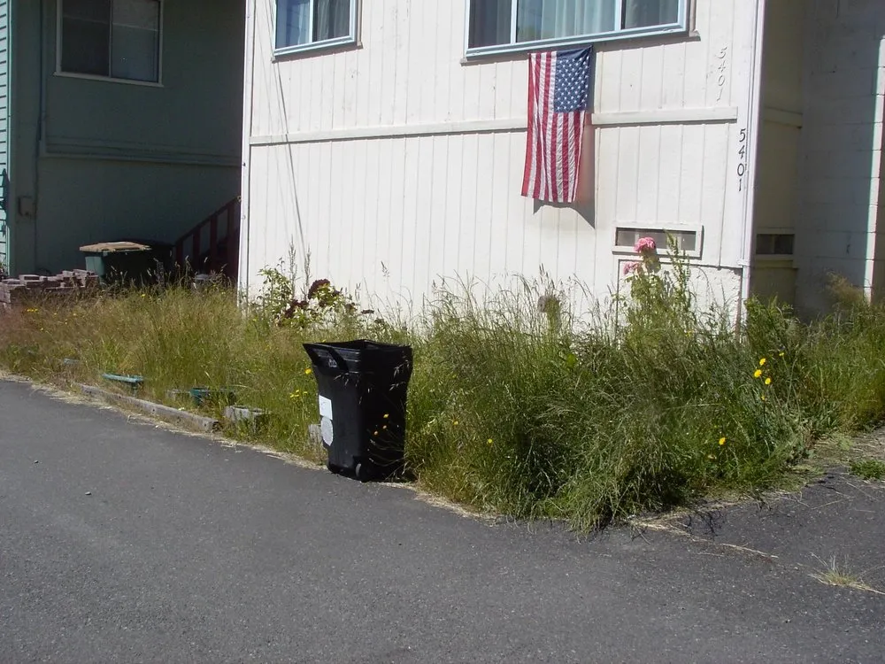 Professional yard maintenance in Seattle, WA - Yards R Us Since 1993