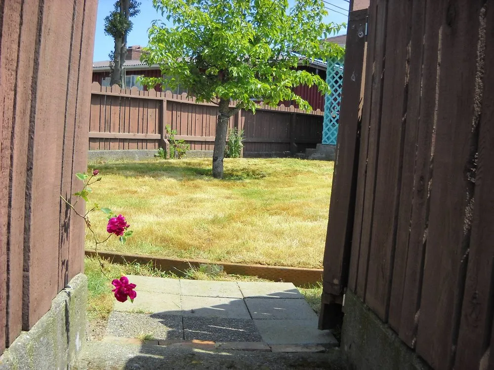 Expert outdoor landscaping for year-round maintenance across Seattle, WA - Yards R Us Since 1993