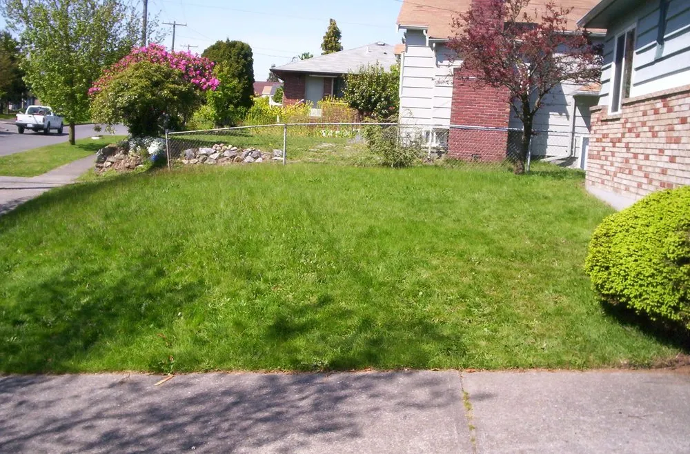 Affordable yard cleanup service in Seattle, WA - Yards R Us Since 1993