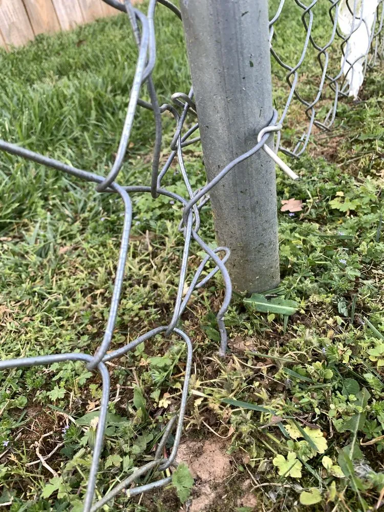 Reliable outdoor landscaping in Clarksville, TN - Yards With Stripes