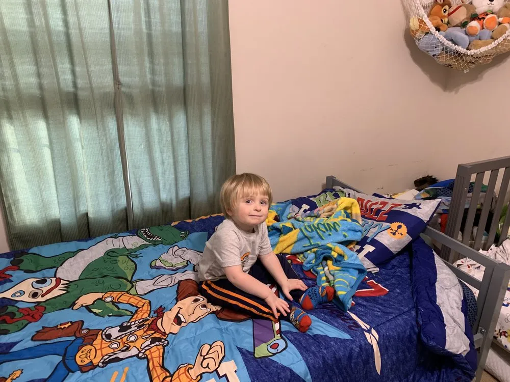 Local lawn care service for year-round maintenance in Clarksville, TN by Yards With Stripes