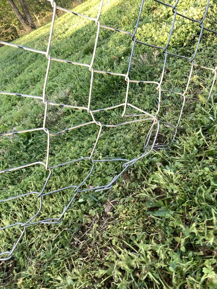 Trusted lawn mowing service in Clarksville, TN by Yards With Stripes