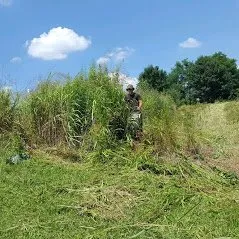 Custom landscape design in Clarksville, TN by Yards With Stripes