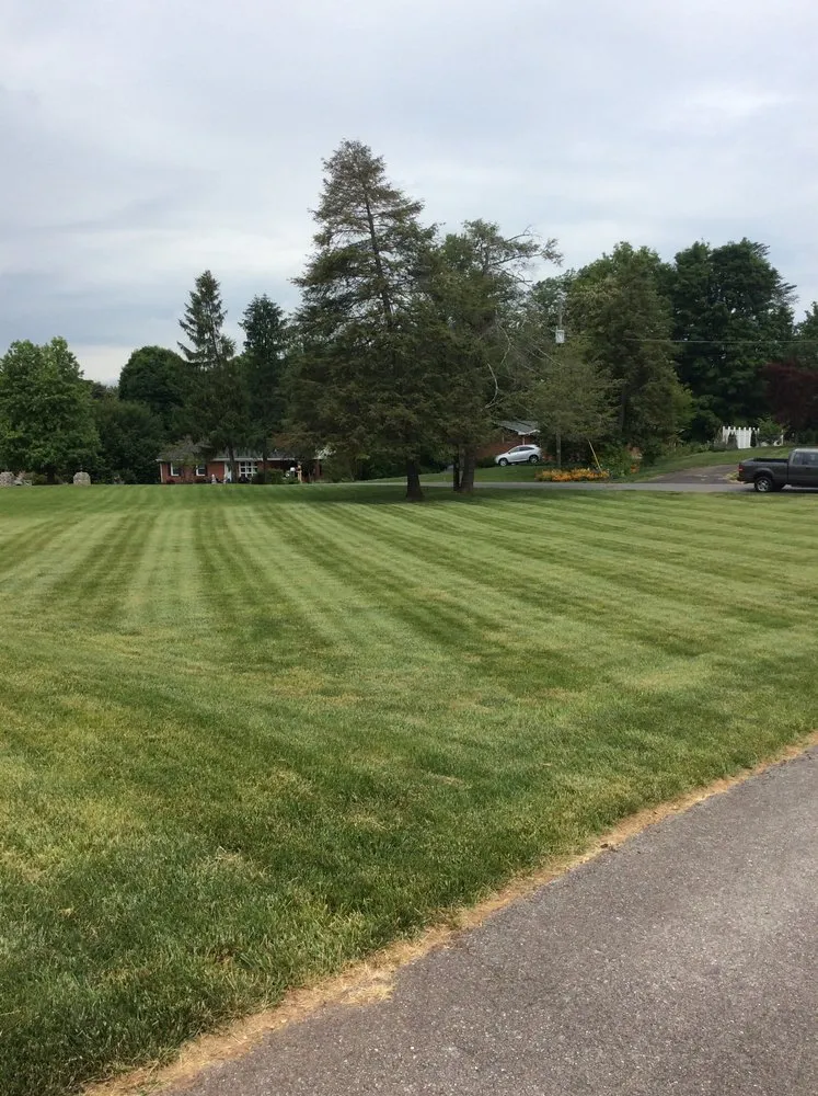 Custom landscape design near you across Cave Spring, VA - Yards Year Round