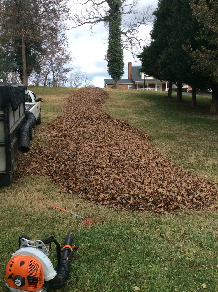 Expert yard maintenance experts serving Cave Spring, VA - Yards Year Round