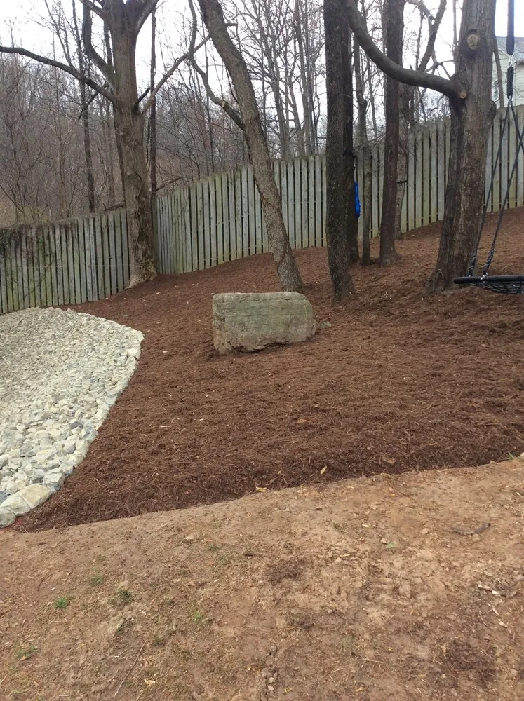 Reliable yard cleanup service for residential properties across Cave Spring, VA - Yards Year Round