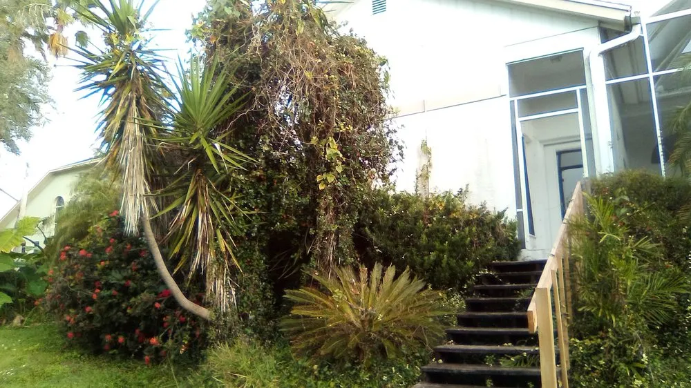 Top-rated landscaping services in Bradenton, FL - Yardscapers Florida