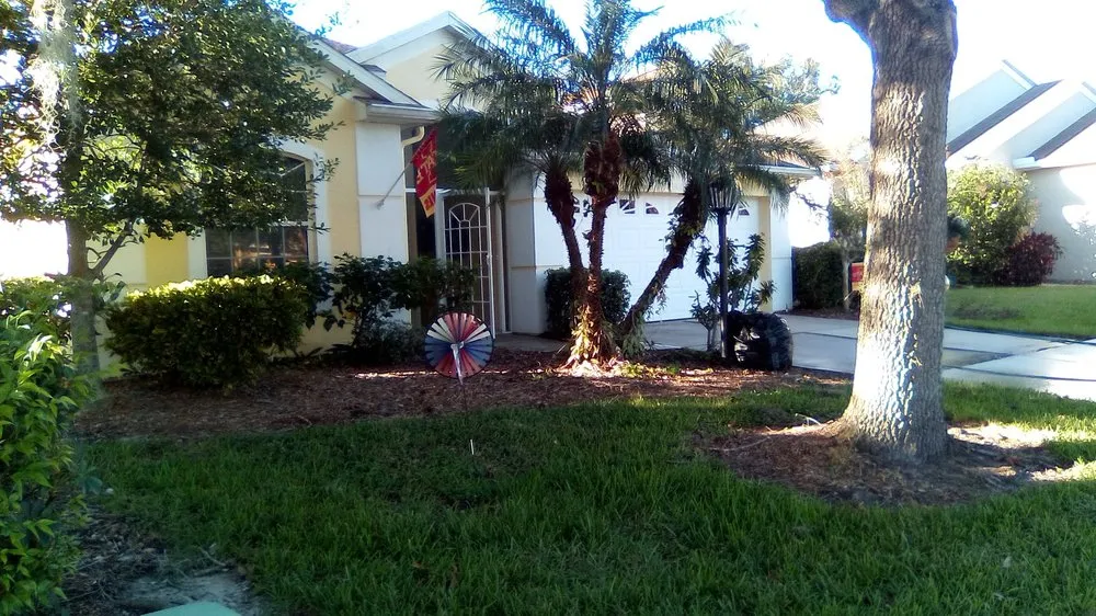 Local yard cleanup service for outdoor upgrades across Bradenton, FL - Yardscapers Florida