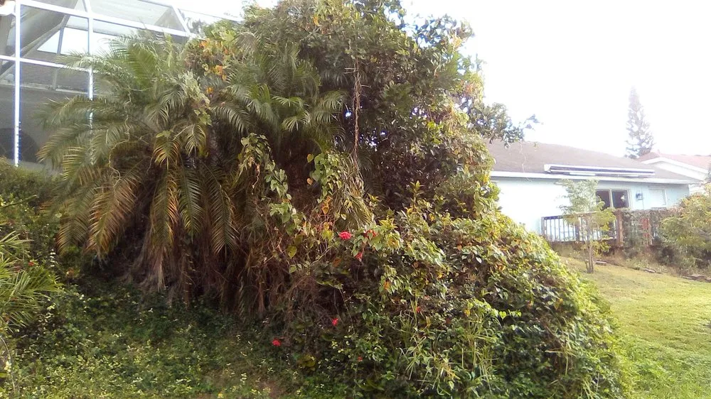 Reliable yard cleanup service with custom design across Bradenton, FL - Yardscapers Florida