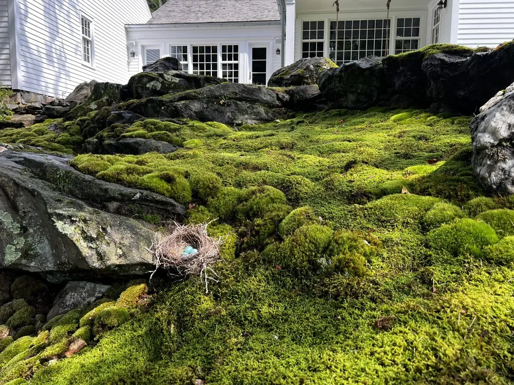 Top-rated lawn care service in New Milford, CT by YardScapes Landscape Professionals