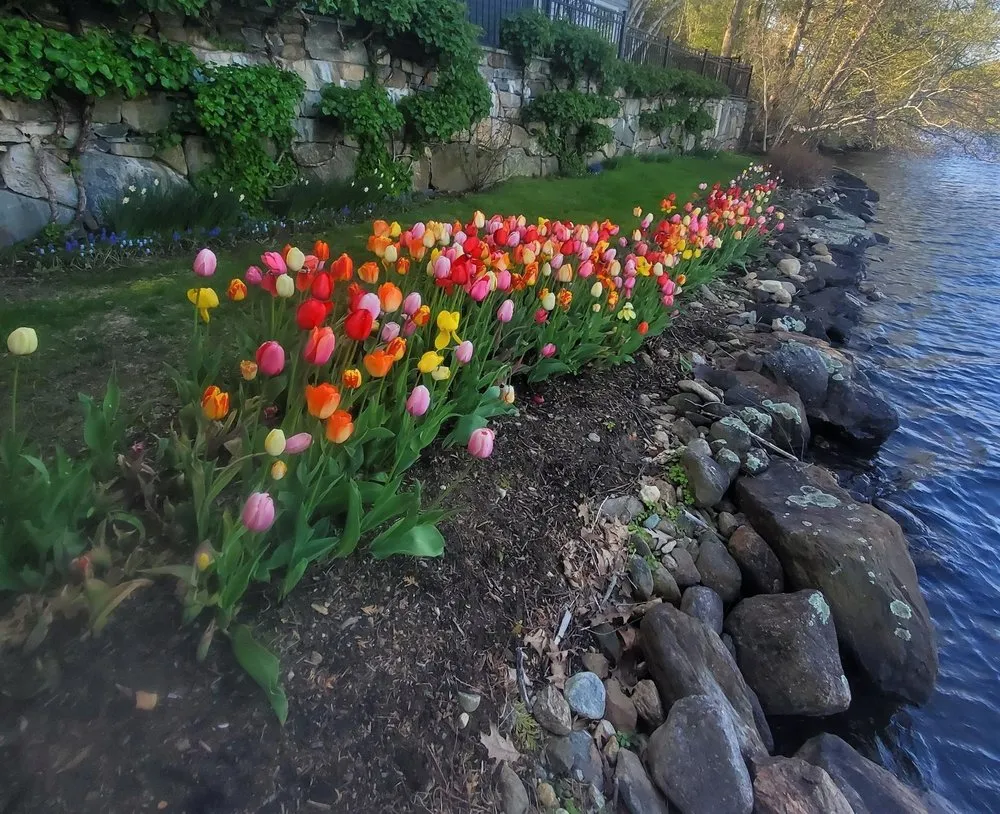 Reliable lawn care service for homes across New Milford, CT - YardScapes Landscape Professionals