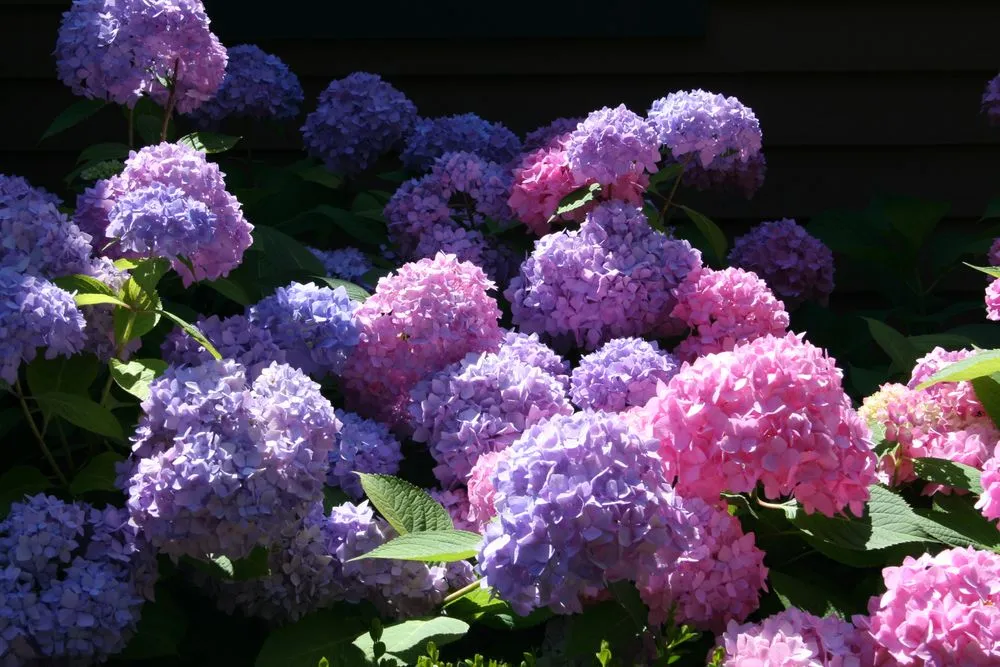 Trusted landscaping services in New Milford, CT by YardScapes Landscape Professionals