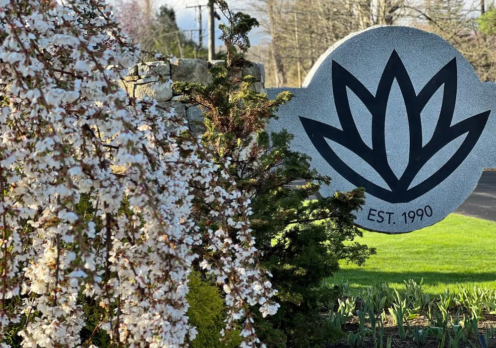 Affordable yard cleanup service in New Milford, CT - YardScapes Landscape Professionals