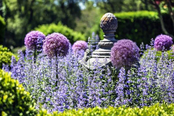 YardScapes Landscape Professionals