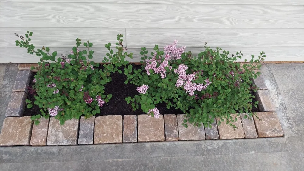 Local landscape installation in Statham, GA - Yardscapes Plus