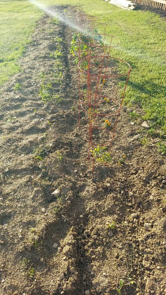 Local residential landscaping experts serving Statham, GA - Yardscapes Plus