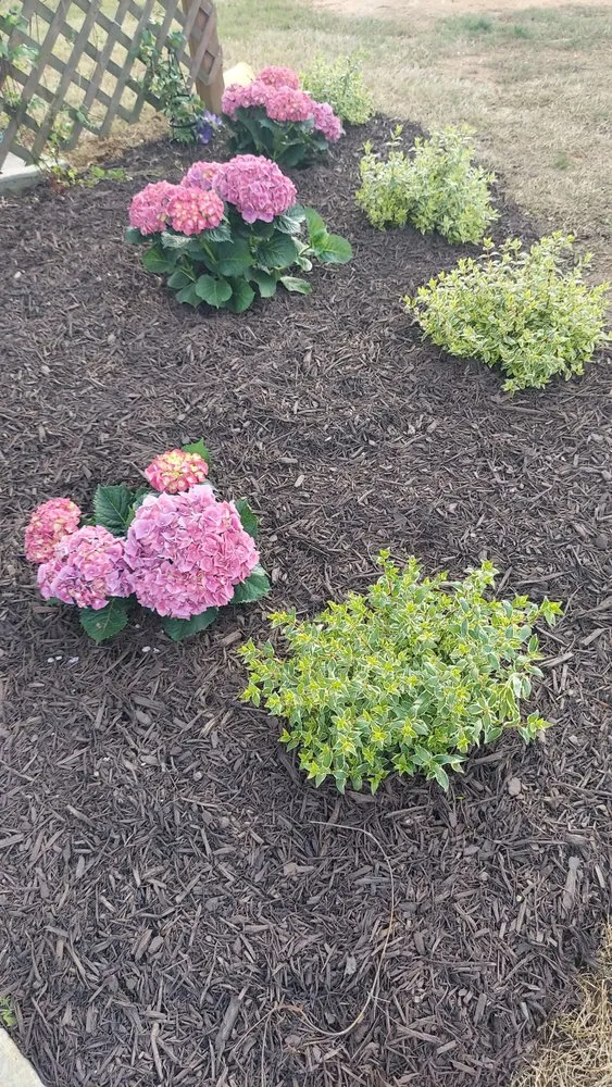 Affordable lawn mowing service for homes in Statham, GA by Yardscapes Plus