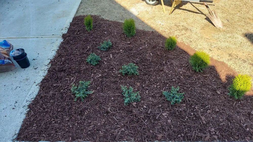 Expert landscape installation experts serving Statham, GA - Yardscapes Plus