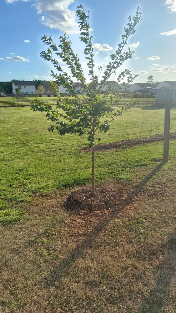 Reliable garden landscaping for homes across Statham, GA - Yardscapes Plus