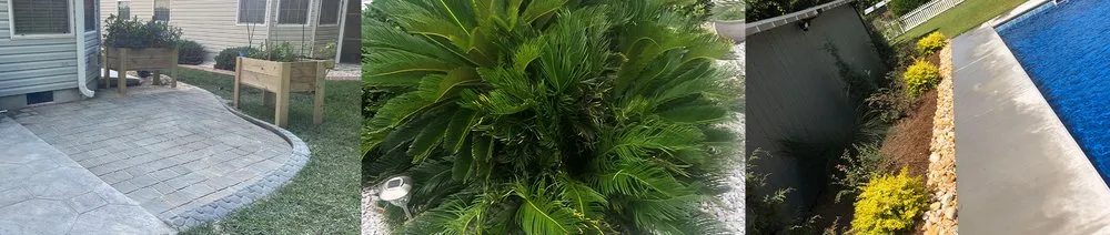 Top-rated yard cleanup service experts serving Conway, SC - YardsR4Me