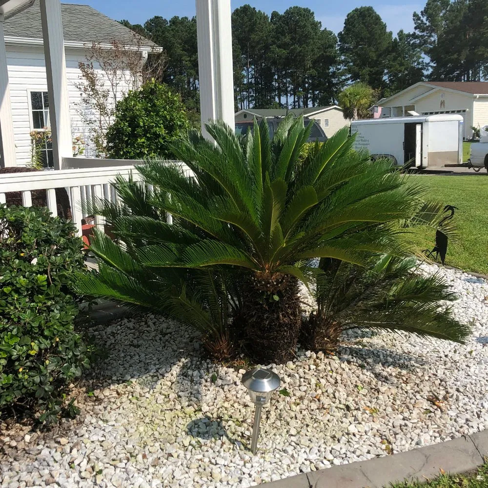 Reliable lawn mowing service for beautiful yards in Conway, SC by YardsR4Me