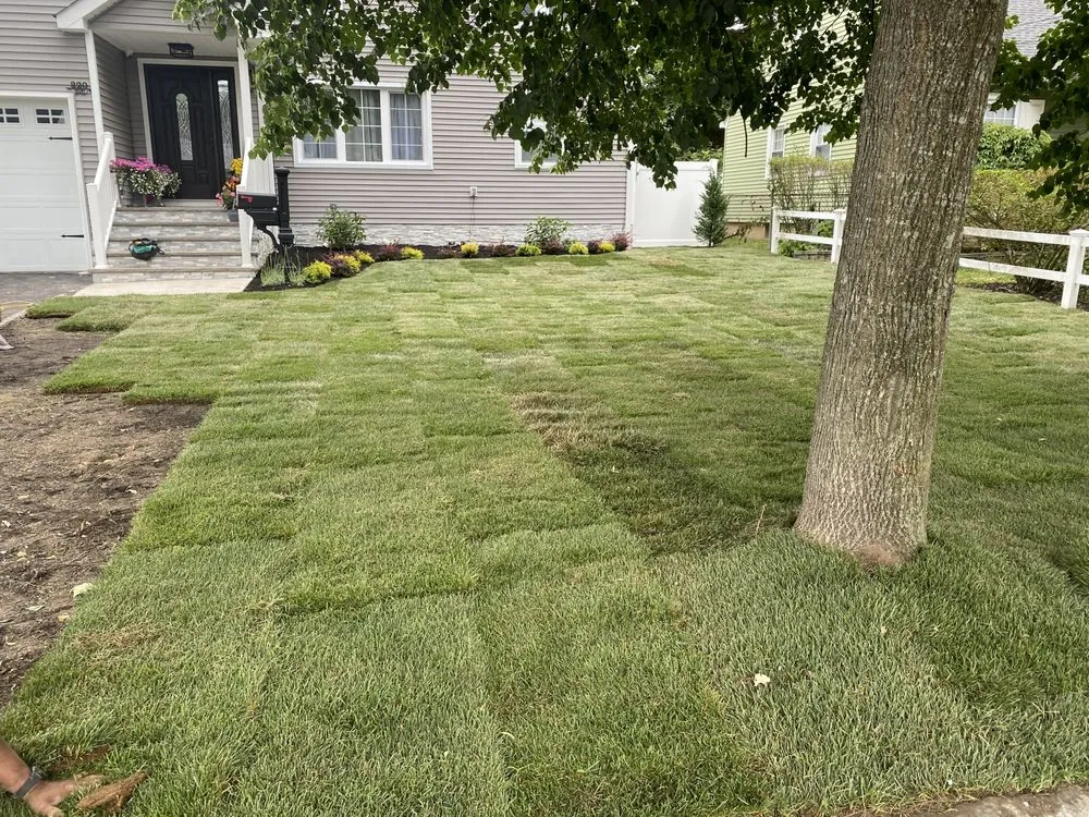 Reliable yard cleanup service experts serving Roselle, NJ - YarDudes