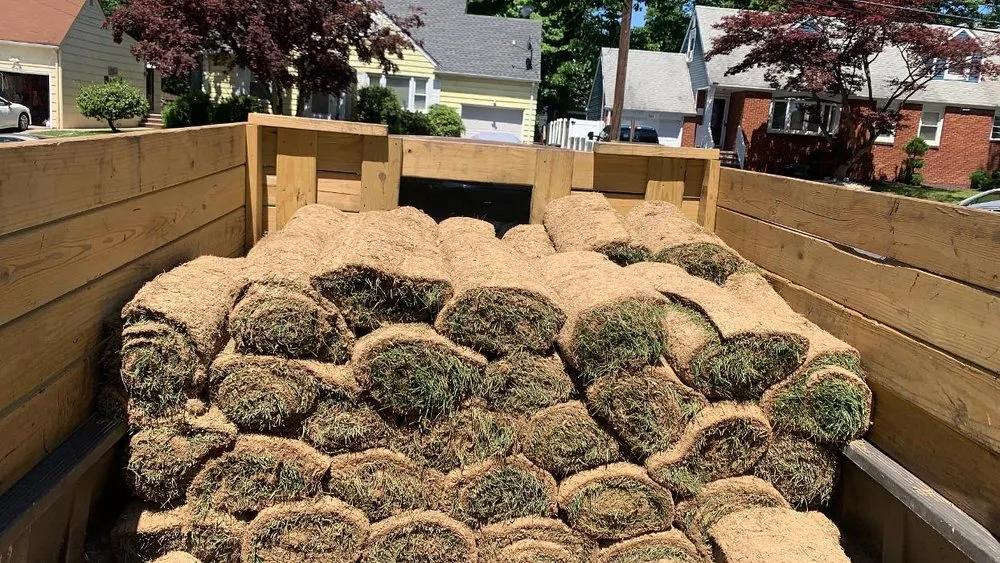 Local landscape design experts serving Roselle, NJ - YarDudes