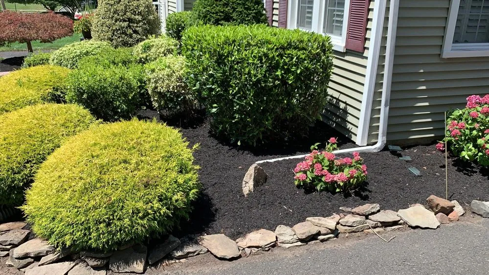 Expert yard maintenance for outdoor upgrades in Roselle, NJ by YarDudes