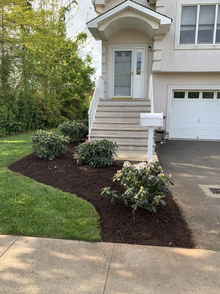 Professional yard cleanup service in Roselle, NJ - YarDudes