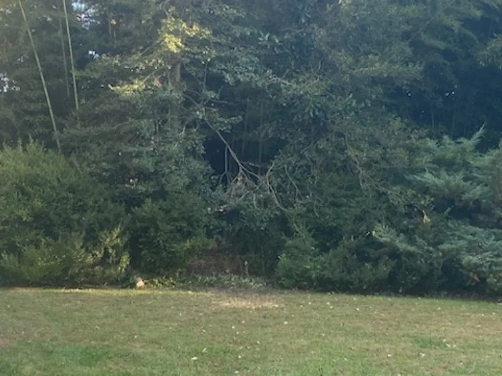 Affordable garden landscaping for homes across Henrico, VA - Yardvana