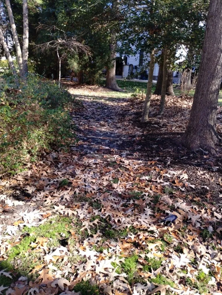 Reliable residential landscaping in Henrico, VA by Yardvana