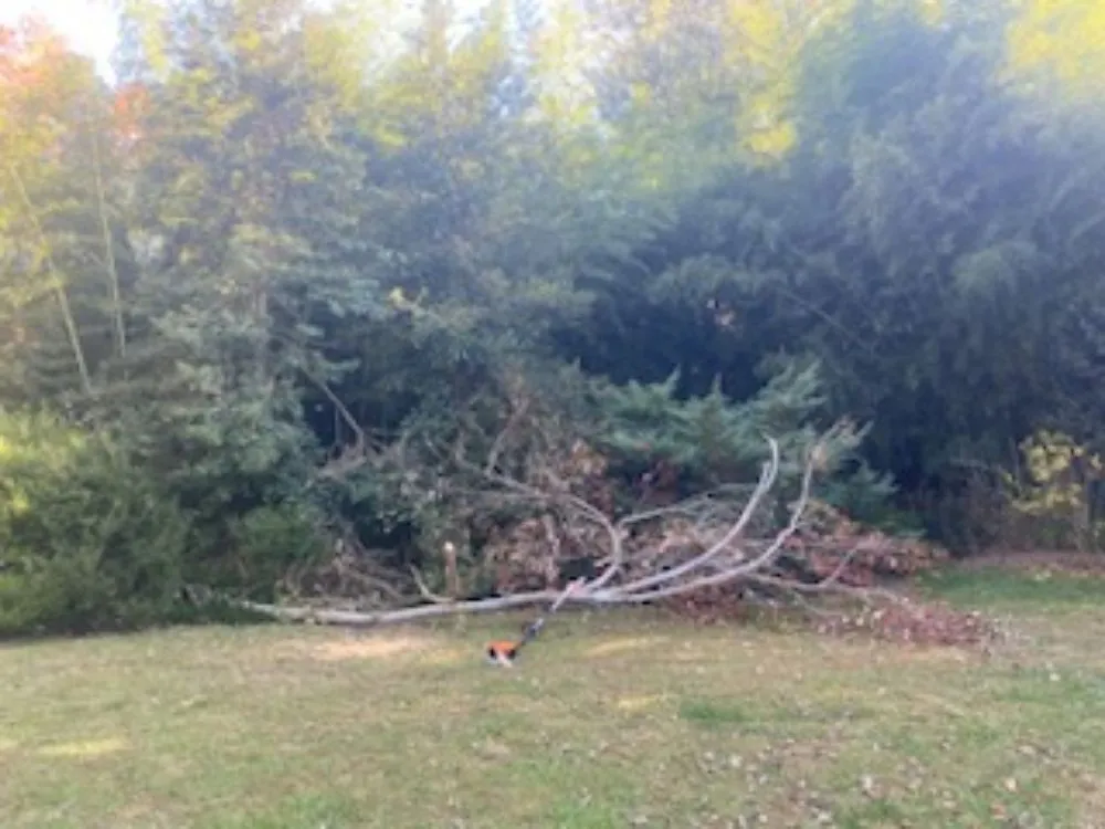 Top-rated outdoor landscaping with custom design in Henrico, VA by Yardvana