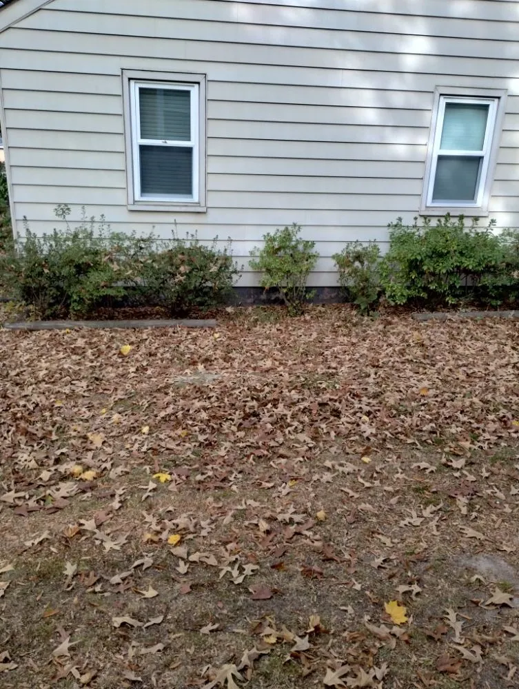 Reliable residential landscaping in Henrico, VA - Yardvana