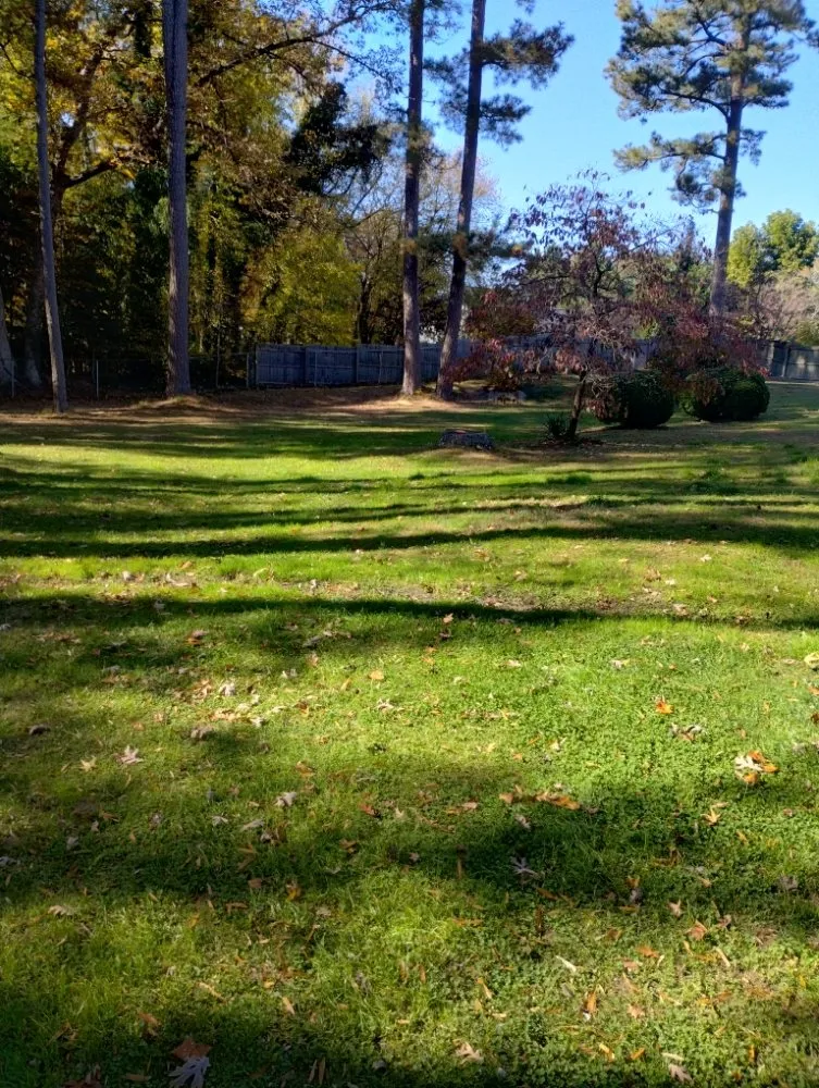 Professional residential landscaping near you across Henrico, VA - Yardvana