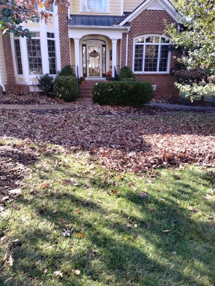 Affordable residential landscaping experts serving Henrico, VA - Yardvana