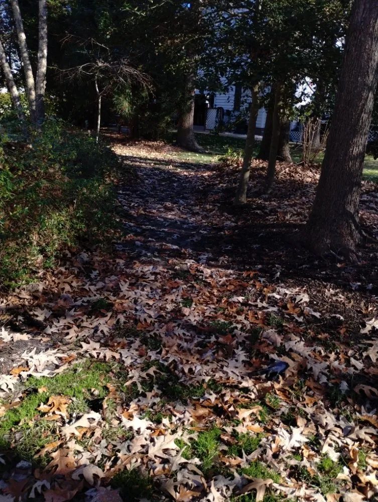 Custom landscape design in Henrico, VA - Yardvana