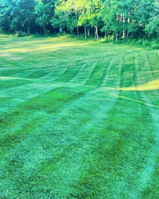 Yardvark Lawn Solutions Logo