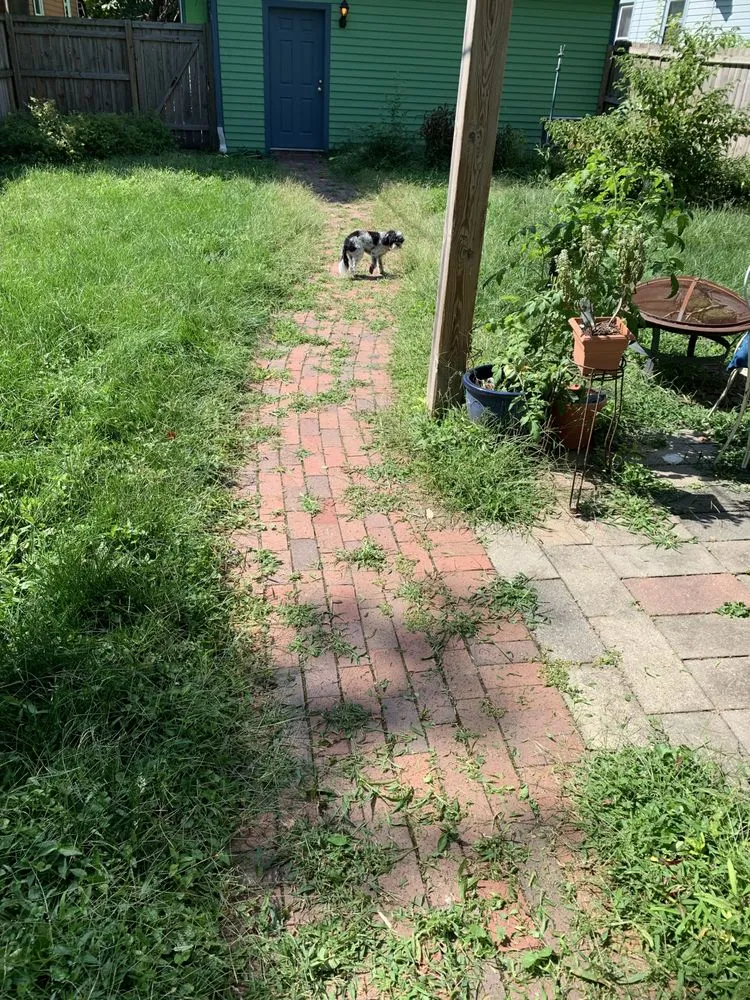 Affordable outdoor landscaping in Fishers, IN - Yardvarks Lawn Care