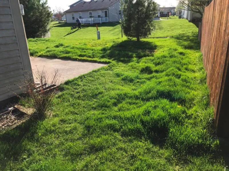 Professional landscape installation in Fishers, IN by Yardvarks Lawn Care