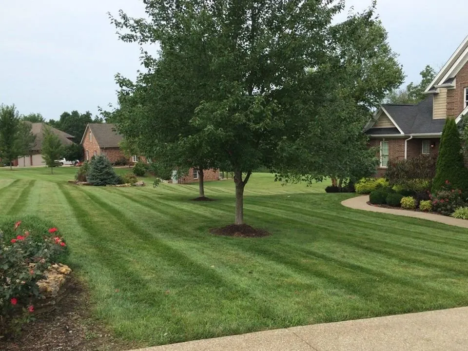Professional lawn care service for outdoor upgrades across Fishers, IN - Yardvarks Lawn Care