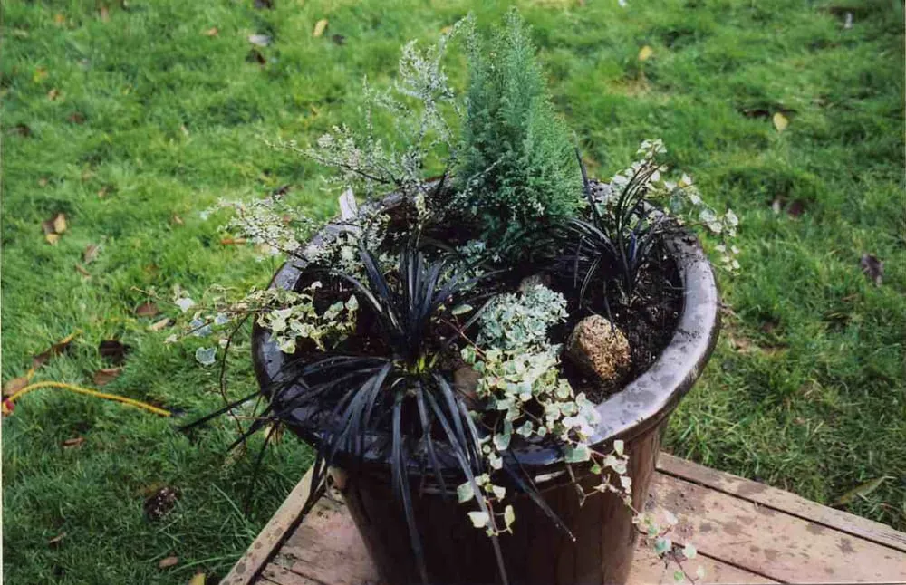 Trusted yard cleanup service for residential properties across Mukilteo, WA - Yardwork, Etc