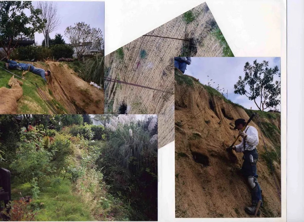 Trusted lawn care service for residential properties in Mukilteo, WA by Yardwork, Etc