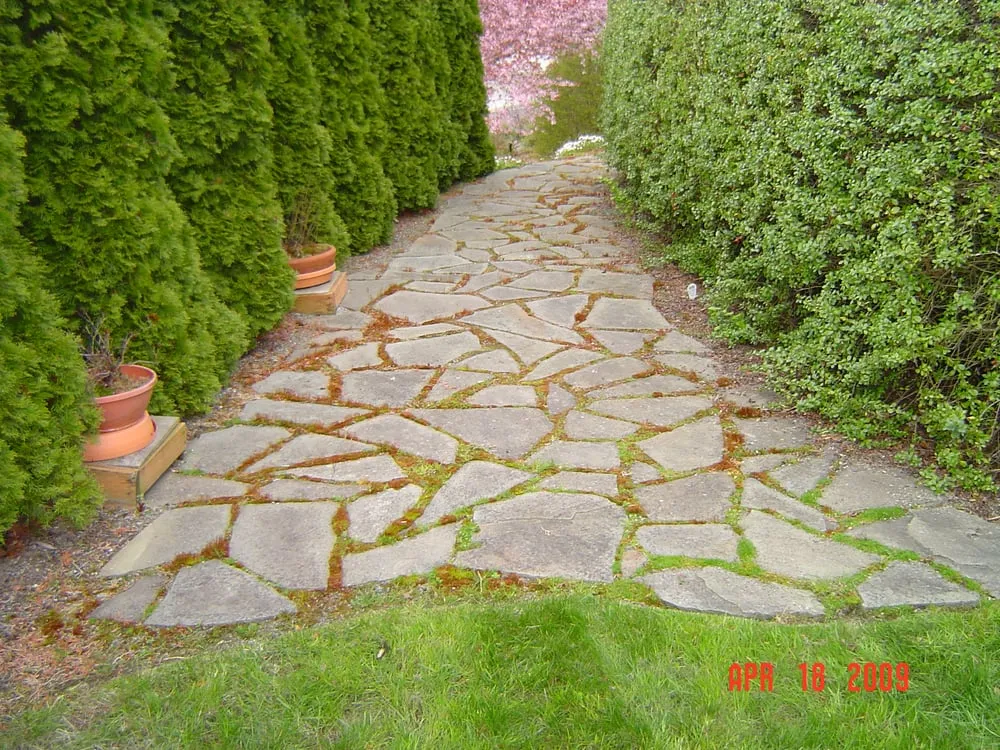 Custom yard maintenance experts serving Mukilteo, WA - Yardwork, Etc