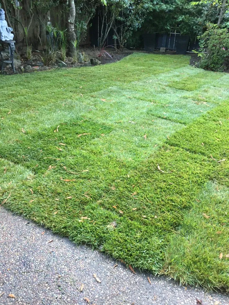 Local lawn care service for residential properties in Mill Valley, CA by Yardwork Landscaping