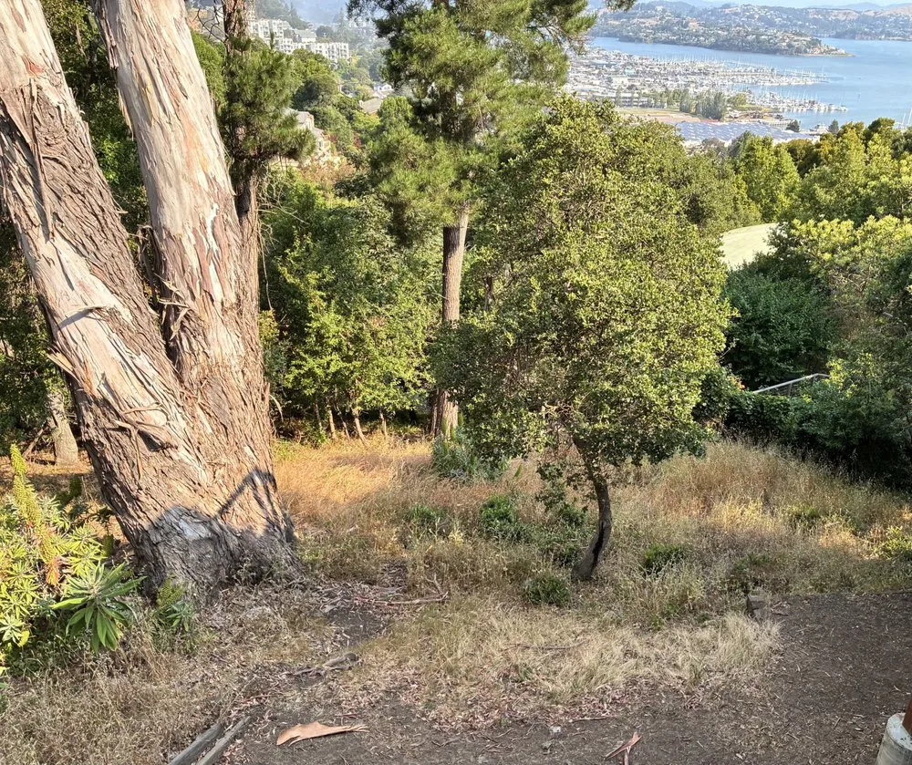 Reliable outdoor landscaping for homes in Mill Valley, CA by Yardwork Landscaping