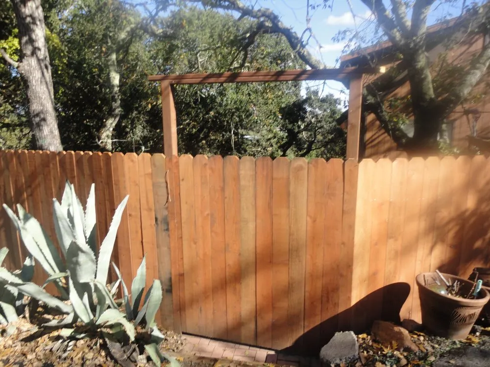 Reliable lawn care service for beautiful yards in Mill Valley, CA by Yardwork Landscaping