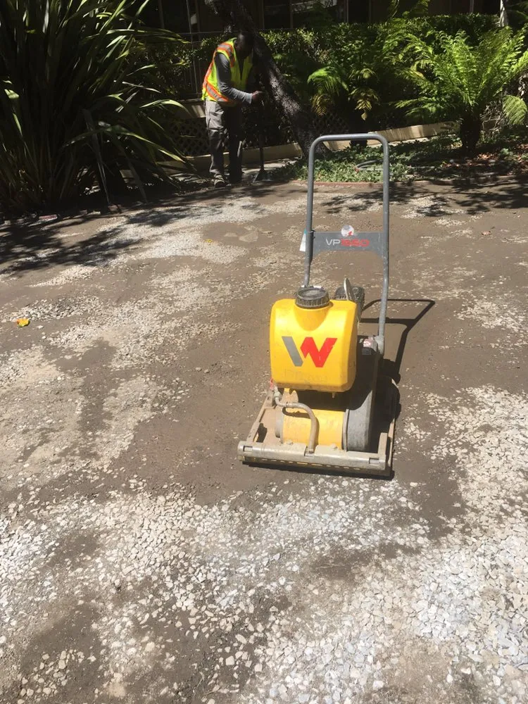 Professional landscape design in Mill Valley, CA - Yardwork Landscaping