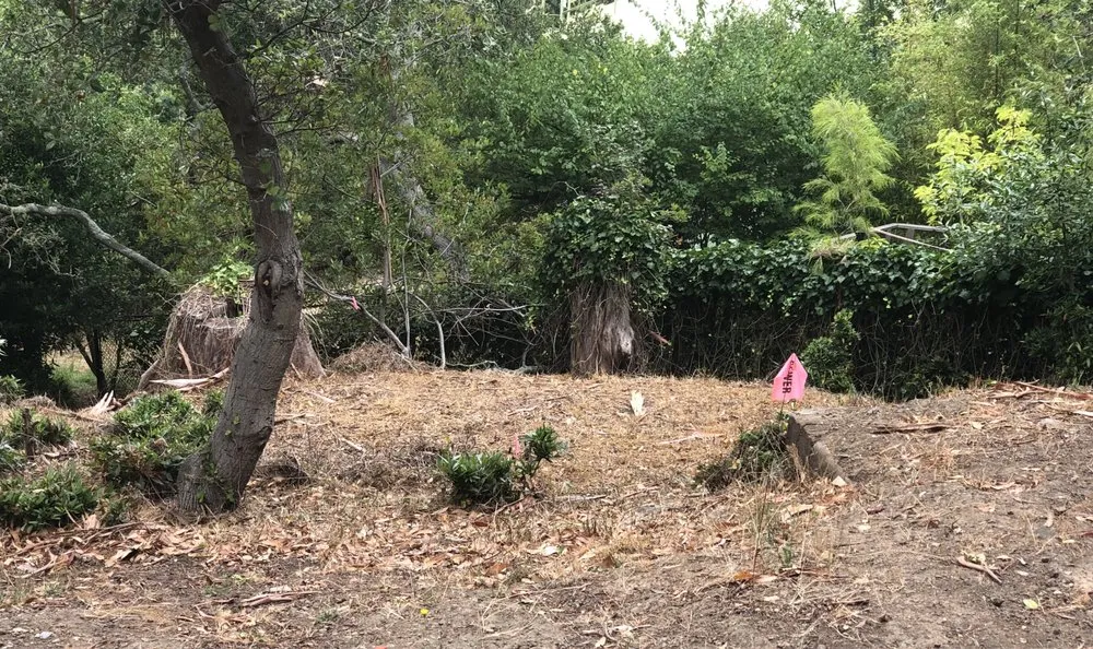 Affordable garden landscaping in Mill Valley, CA by Yardwork Landscaping