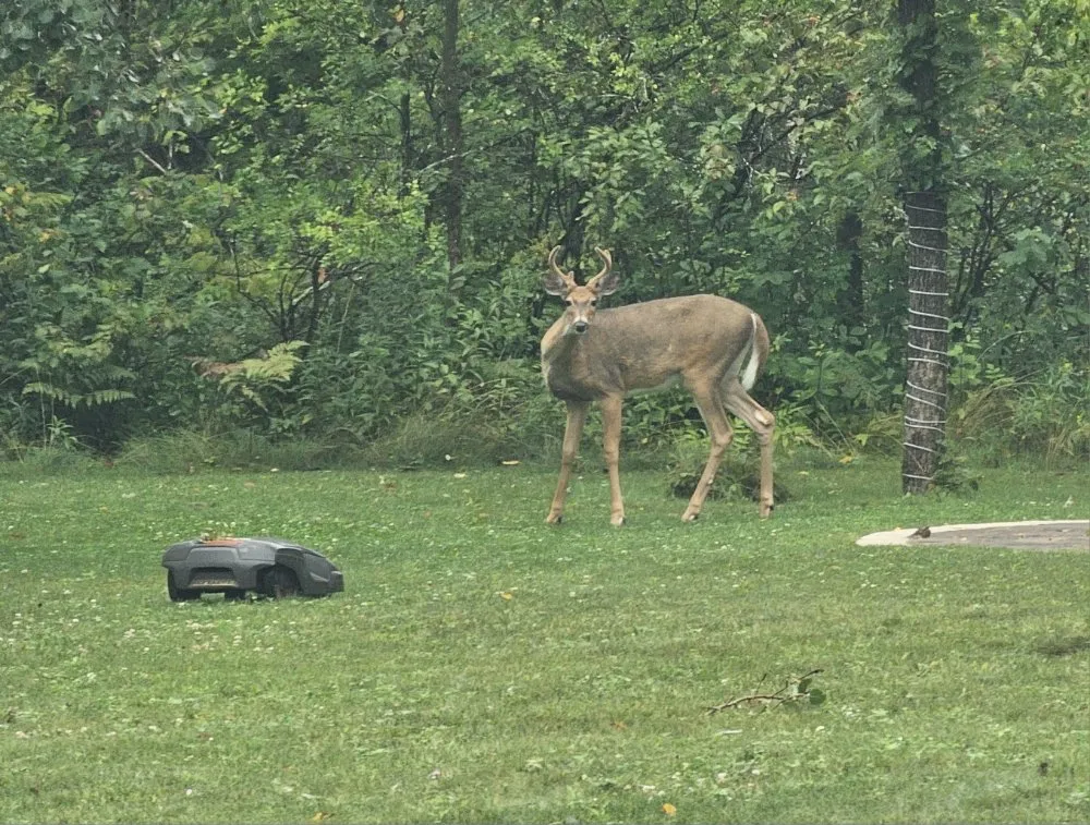 Top-rated outdoor landscaping experts serving Minong, WI - Yardwork Lawn Care Services